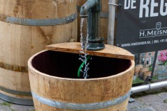 Rosenmarkt-Stadt-Norden-15.6.2025-69