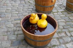 Rosenmarkt-Stadt-Norden-15.6.2025-70