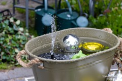 Rosenmarkt-Stadt-Norden-15.6.2025-75