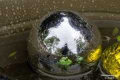 Rosenmarkt-Stadt-Norden-15.6.2025-76