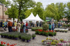 Rosenmarkt-Stadt-Norden-15.6.2025-83