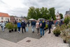 Rosenmarkt-Stadt-Norden-9.6.2024-103