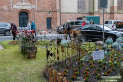 Rosenmarkt-Stadt-Norden-9.6.2024-105
