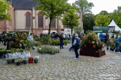 Rosenmarkt-Stadt-Norden-9.6.2024-109