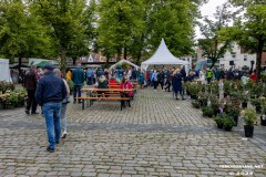 Rosenmarkt-Stadt-Norden-9.6.2024-112