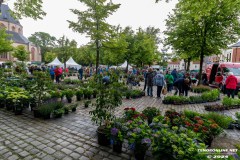 Rosenmarkt-Stadt-Norden-9.6.2024-115