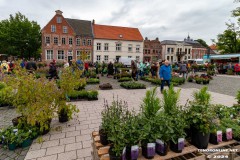Rosenmarkt-Stadt-Norden-9.6.2024-125