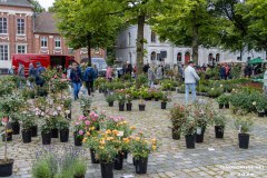 Rosenmarkt-Stadt-Norden-9.6.2024-127