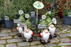 Rosenmarkt-Stadt-Norden-9.6.2024-129