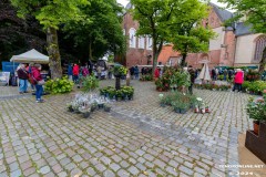 Rosenmarkt-Stadt-Norden-9.6.2024-132