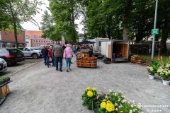 Rosenmarkt-Stadt-Norden-9.6.2024-133
