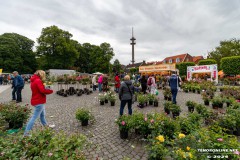 Rosenmarkt-Stadt-Norden-9.6.2024-143