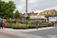Rosenmarkt-Stadt-Norden-9.6.2024-2