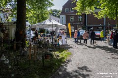 Rosenmarkt-Stadt-Norden-9.6.2024-25