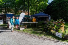 Rosenmarkt-Stadt-Norden-9.6.2024-30