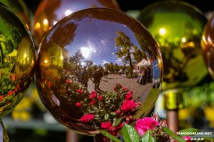 Rosenmarkt-Stadt-Norden-9.6.2024-33