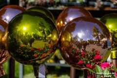 Rosenmarkt-Stadt-Norden-9.6.2024-34