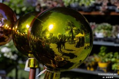 Rosenmarkt-Stadt-Norden-9.6.2024-35