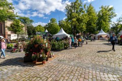 Rosenmarkt-Stadt-Norden-9.6.2024-43