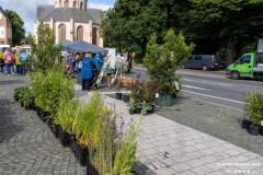 Rosenmarkt-Stadt-Norden-9.6.2024-54