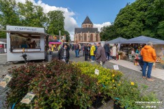 Rosenmarkt-Stadt-Norden-9.6.2024-57