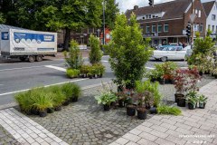 Rosenmarkt-Stadt-Norden-9.6.2024-75