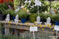 Rosenmarkt-Stadt-Norden-9.6.2024-83