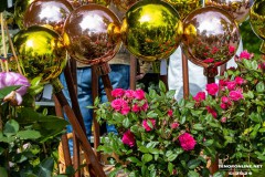 Rosenmarkt-Stadt-Norden-9.6.2024-84