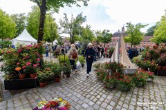 Rosenmarkt-Stadt-Norden-9.6.2024-86