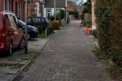 Rosenthallohne-Stadt-Norden-17.2.2024-18