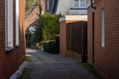 Rosenthallohne-Stadt-Norden-17.2.2024-2