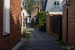 Rosenthallohne-Stadt-Norden-17.2.2024-4