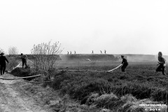 Moorbrand-Folkert-Saueressig-2