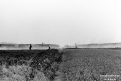 Moorbrand-Folkert-Saueressig