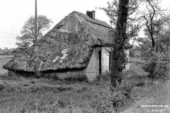 Moorkate-mit-Reetdach-Folkert-Saueressig