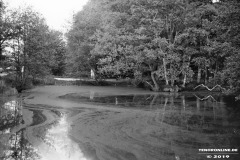 Teich-Kanal-Kolk-Folkert-Saueressig