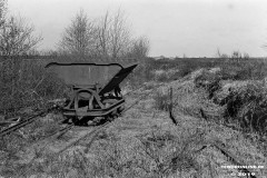Torflore-Berumerfehner-Moor-Ostfriesland-Folkert-Saueressig