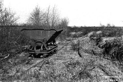 Torflore-im-Moor-Folkert-Saueressig