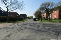Schafweg-Norden-19.4.2019-4