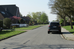Schafweg-Norden-19.4.2019-5