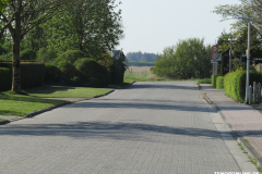 Schafweg-Norden-19.4.2019-7