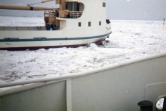 Reederei-Baltrum-Linie-Schiff-MS-Baltrum-II-3