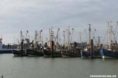 Kutter-Hafen-Mole-Norddeich-23.3.2019-2