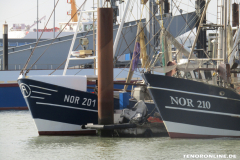 Kutter-Hafen-Mole-Norddeich-23.3.2019-3