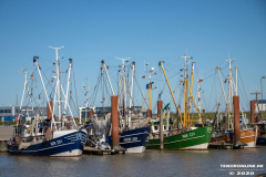 Kutter-Hafen-Norddeich-Stadt-Norden-22.3.2020-3