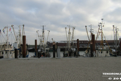 Kutter Norddeich  16.2.2019-19
