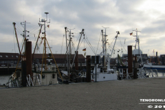 Kutter Norddeich  16.2.2019-20