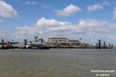 Norddeich-Hafen-Mole-Ostfriesland-16.7.2023-22