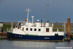 Schiff AEGIR Hafen Norddeich 2.3.19-6