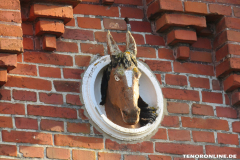 Pferd Schlachthof Schlachthausstraße 26506 Norden März 15.3.2019-1